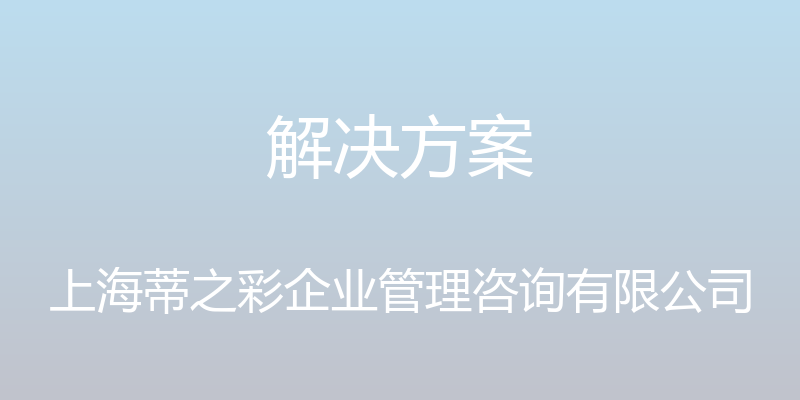 解决方案 - 上海蒂之彩企业管理咨询有限公司